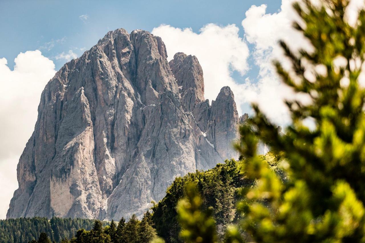 Appartamenti Hetty Santa Cristina Val Gardena Eksteriør bilde
